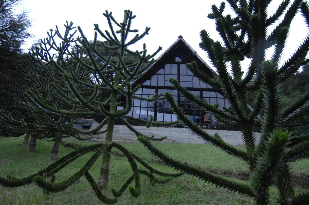 Cabanas Lago Elizalde Coyhaique Bagian luar foto