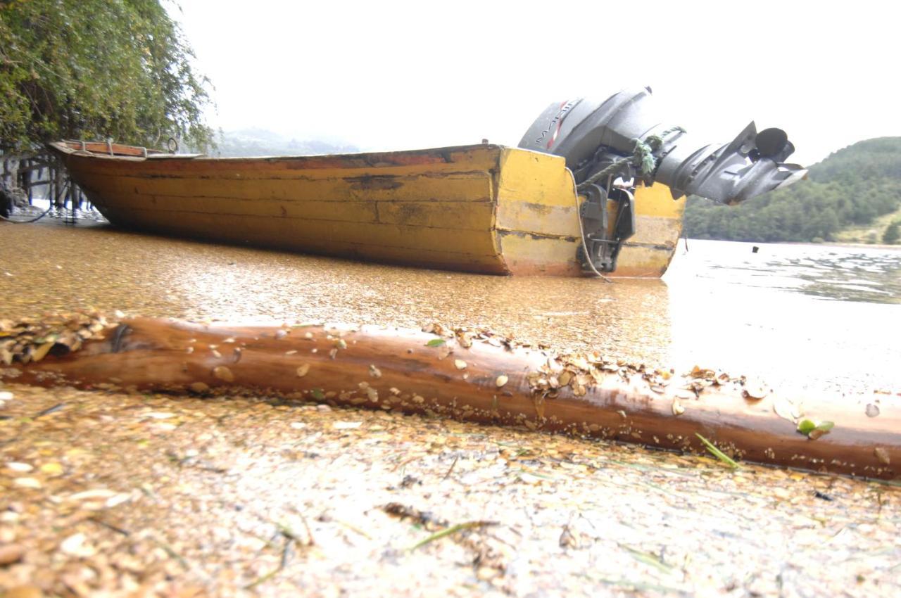 Cabanas Lago Elizalde Coyhaique Bagian luar foto