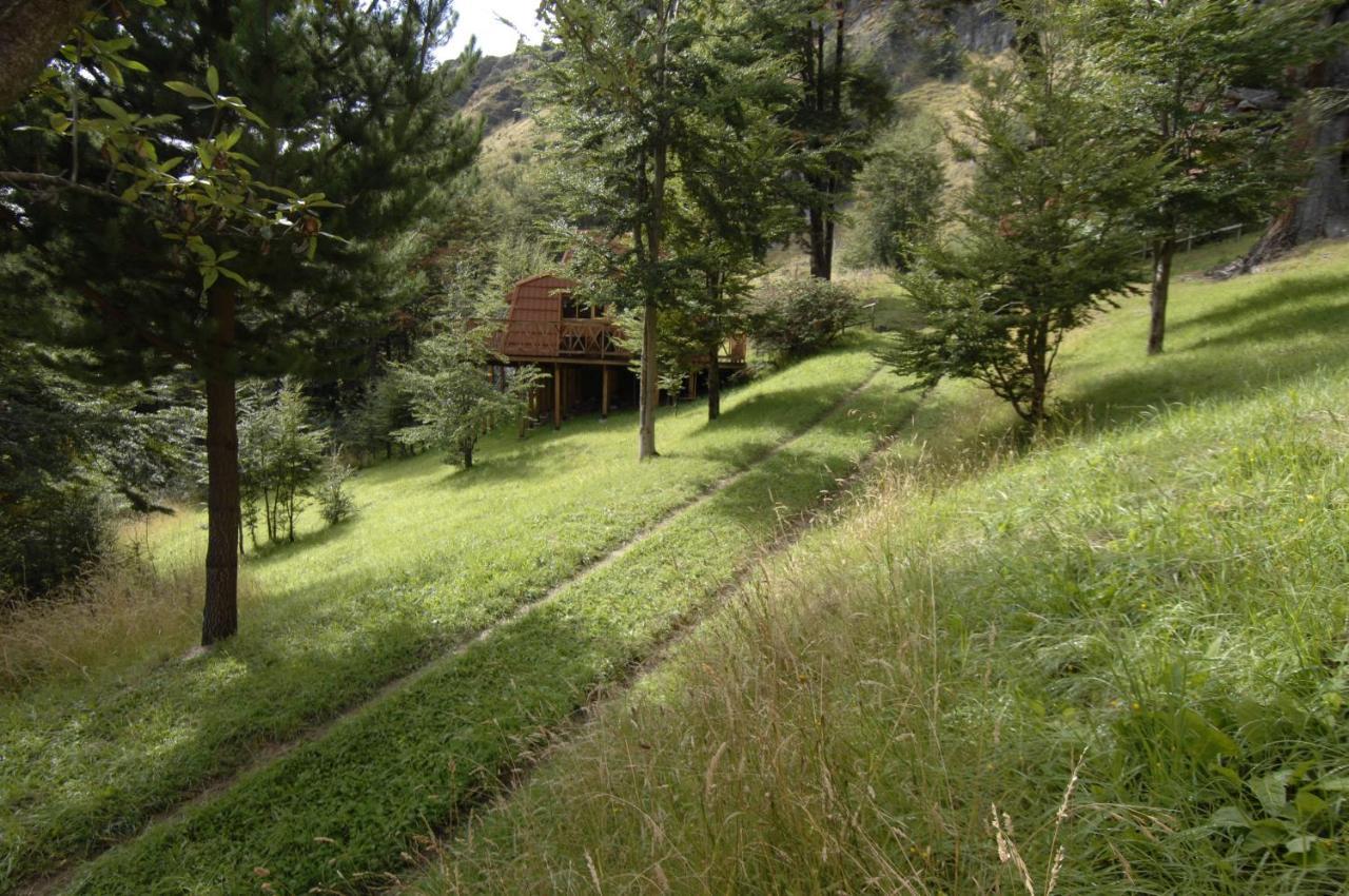 Cabanas Lago Elizalde Coyhaique Bagian luar foto